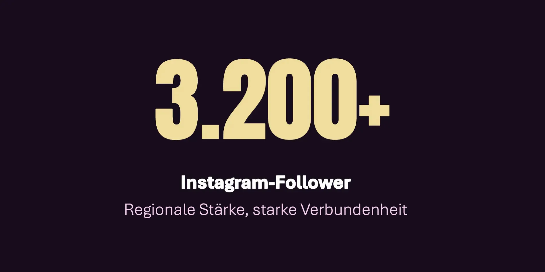 Instagram Follower